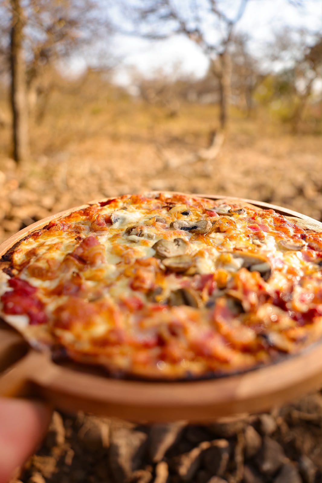 Wood oven pizza on a wooden board, held up against the bushveld